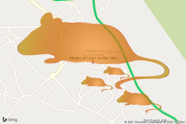 לוכד חולדות ועכברים בפקיעין