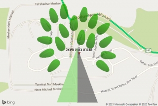 מדביר בנווה מיכאל - הדברה בנווה מיכאל