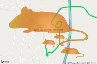 לוכד חולדה במעגן מיכאל - לוכד חולדות ועכברים במעגן מיכאל
