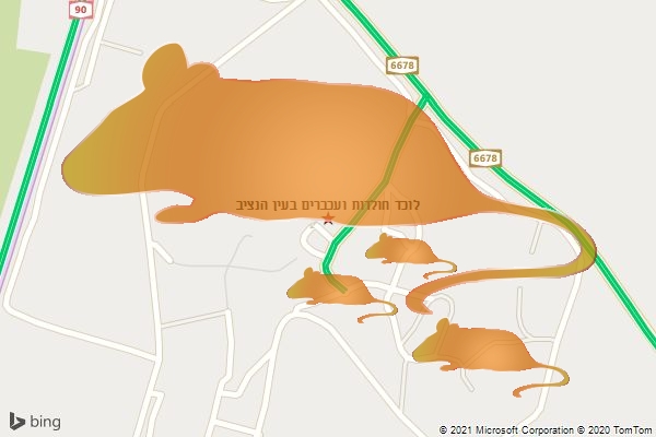 לוכד חולדות ועכברים בעין הנציב