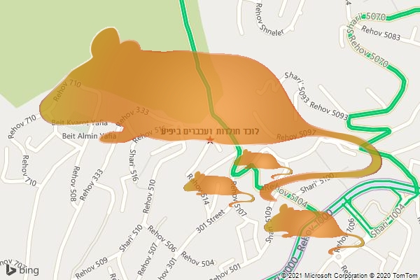 לוכד חולדות ועכברים ביפיע