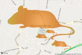 לוכד חולדה בטירה - לוכד חולדות ועכברים בטירה