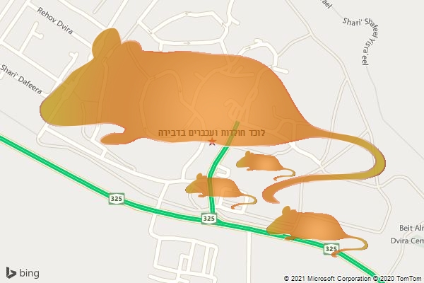 לוכד חולדות ועכברים בדבירה