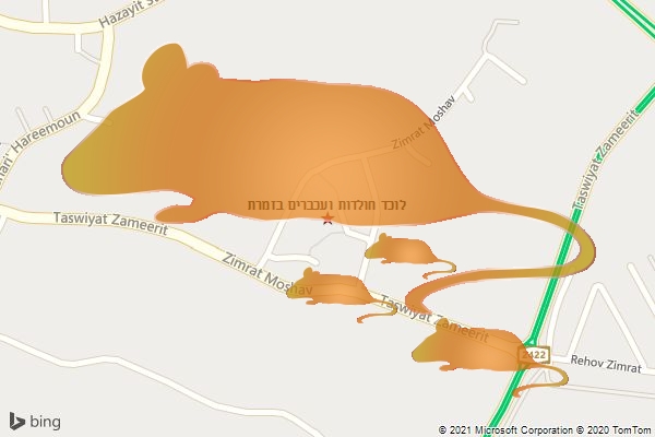 לוכד חולדות ועכברים בזמרת