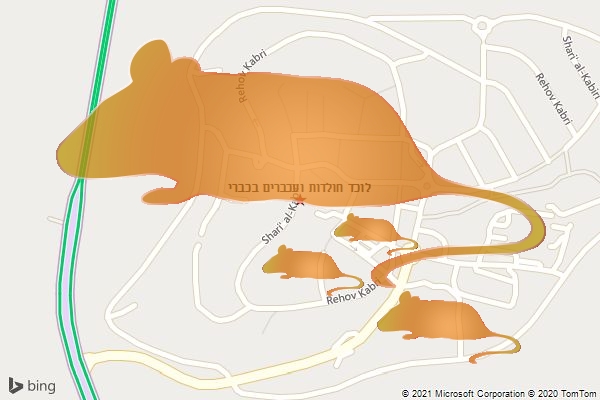 לוכד חולדות ועכברים בכברי