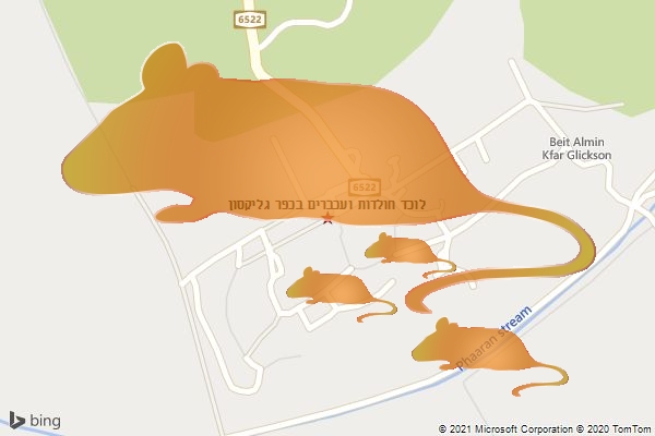 לוכד חולדות ועכברים בכפר גליקסון