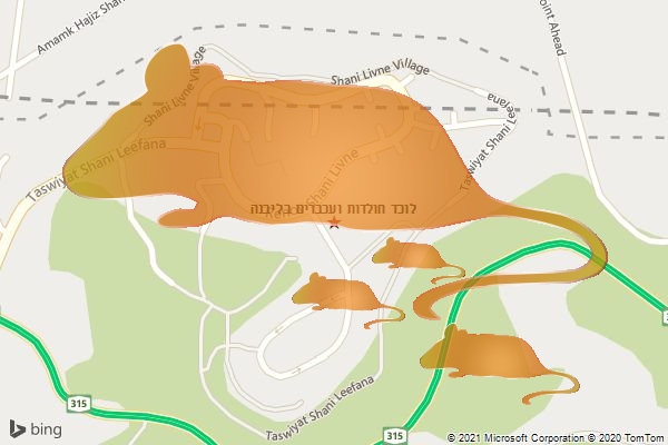 לוכד חולדות ועכברים בליבנה