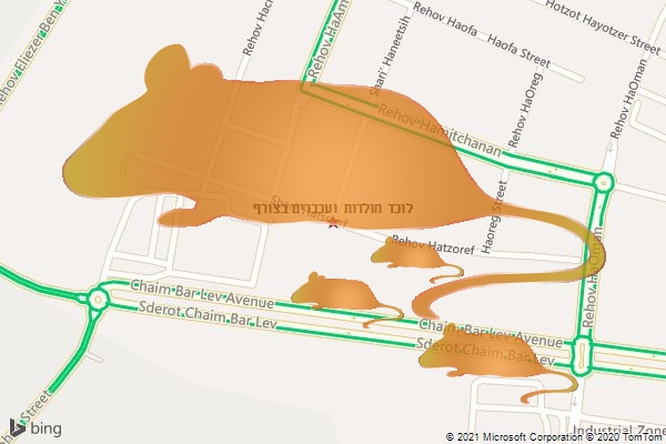לוכד חולדות ועכברים בצורף