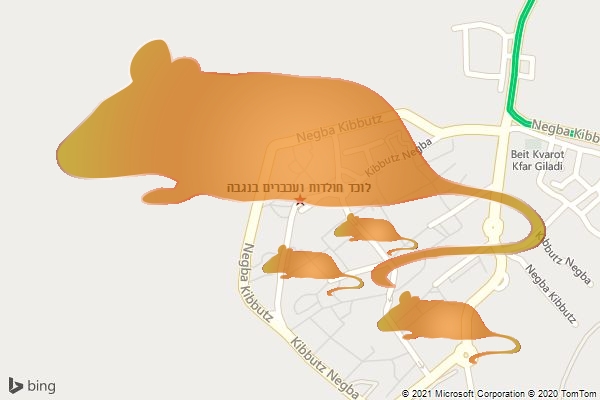 לוכד חולדות ועכברים בנגבה