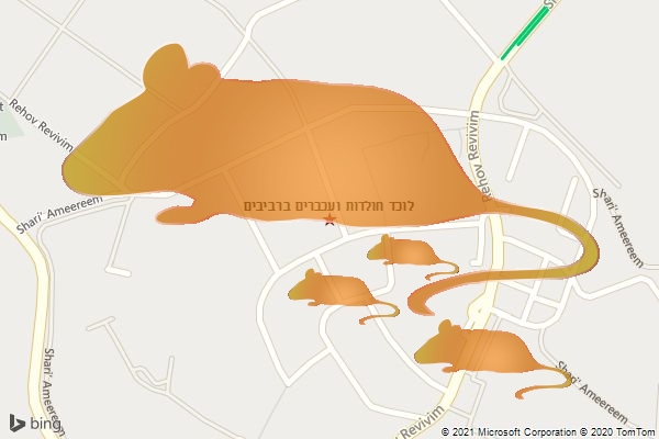 לוכד חולדות ועכברים ברביבים