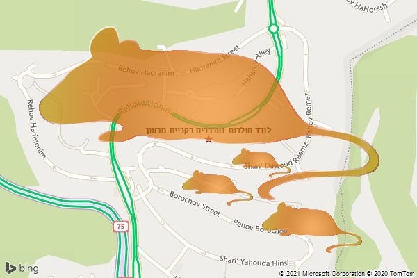 לוכד חולדות ועכברים בקריית טבעון