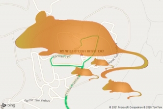 לוכד חולדה בכרמי צור - לוכד חולדות ועכברים בכרמי צור
