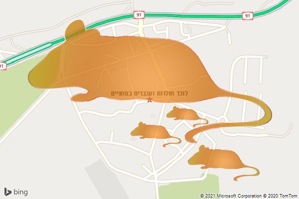 לוכד חולדות ועכברים במחניים