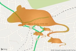 לוכד חולדה בברטעה - לוכד חולדות ועכברים בברטעה