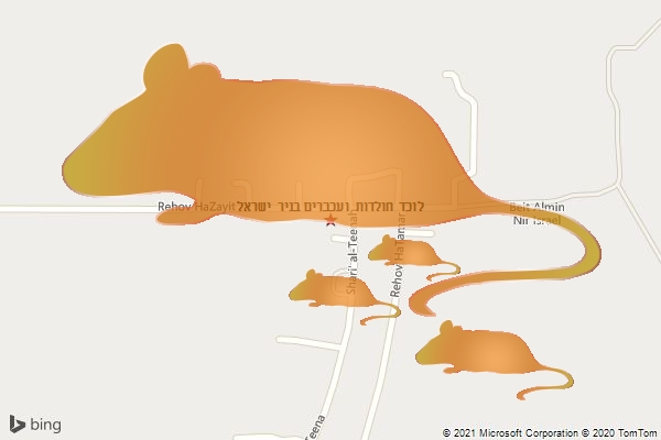 לוכד חולדות ועכברים בניר ישראל