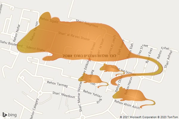 לוכד חולדות ועכברים במרכז אשכול