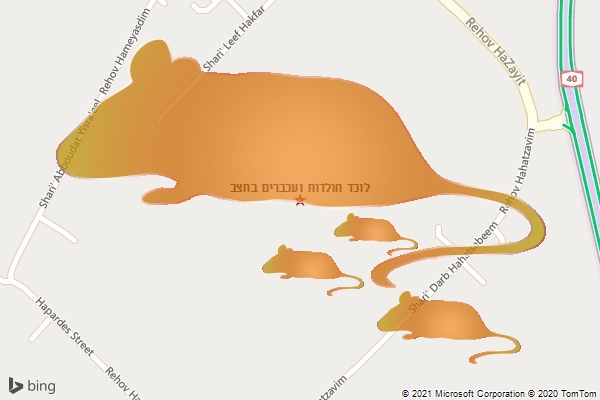 לוכד חולדות ועכברים בחצב