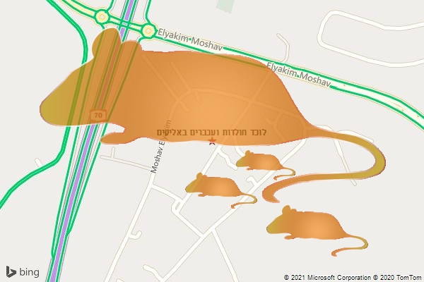 לוכד חולדות ועכברים באליקים