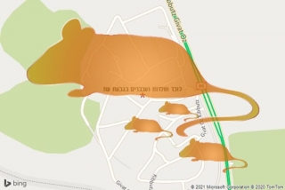 לוכד חולדה בגבעת עוז - לוכד חולדות ועכברים בגבעת עוז