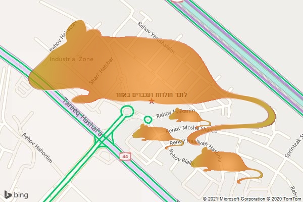 לוכד חולדות ועכברים באזור