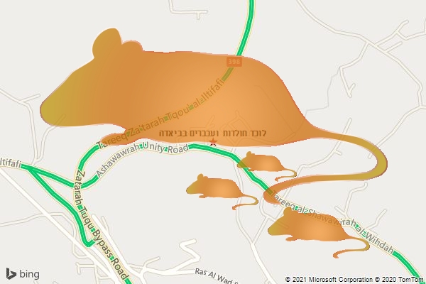 לוכד חולדות ועכברים בביאדה