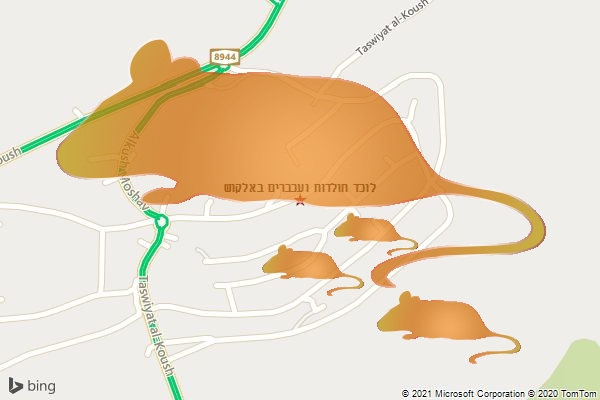 לוכד חולדות ועכברים באלקוש
