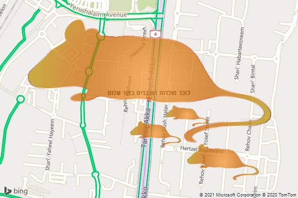 לוכד חולדות ועכברים בצור שלום