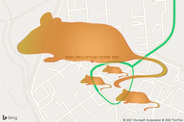 לוכד חולדות ועכברים בנתיב הגדוד