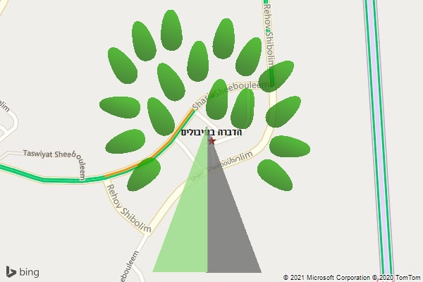הדברה בשיבולים
