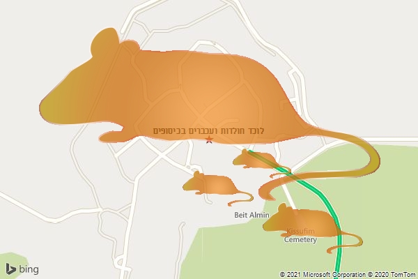 לוכד חולדות ועכברים בכיסופים
