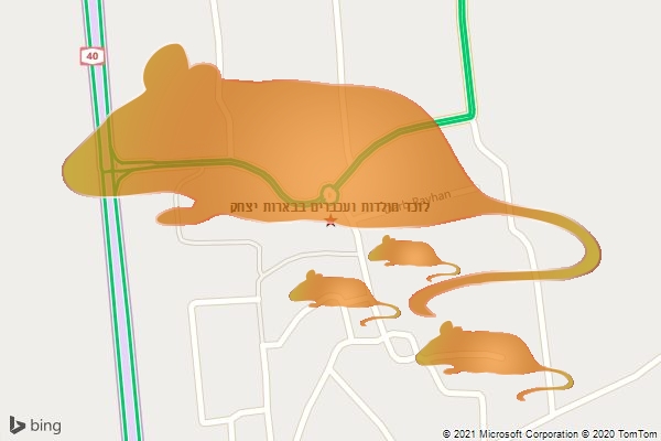 לוכד חולדות ועכברים בבארות יצחק