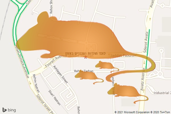לוכד חולדות ועכברים בצורן