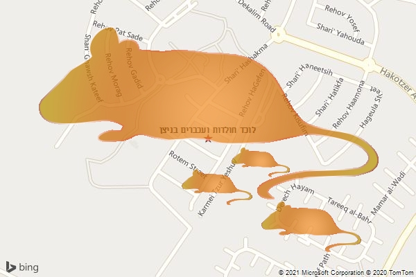 לוכד חולדות ועכברים בניצן