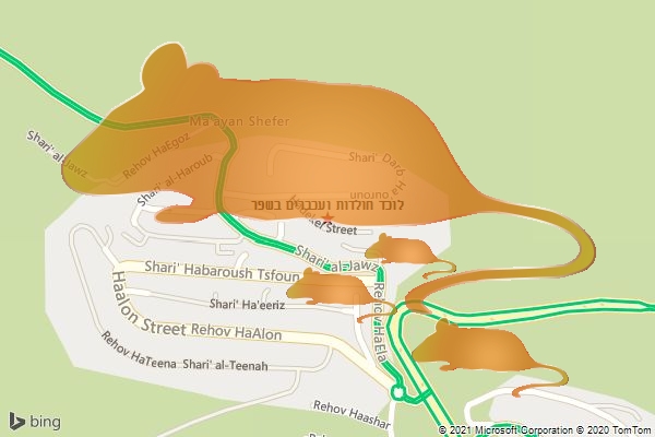 לוכד חולדות ועכברים בשפר