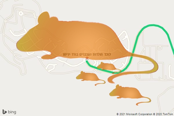 לוכד חולדות ועכברים בורד יריחו