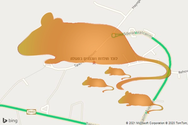 לוכד חולדות ועכברים בסגולה