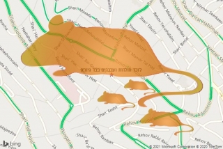 לוכד חולדה בבר גיורא - לוכד חולדות ועכברים בבר גיורא