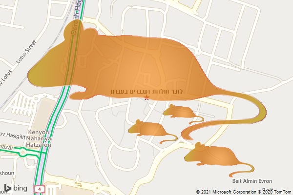 לוכד חולדות ועכברים בעברון