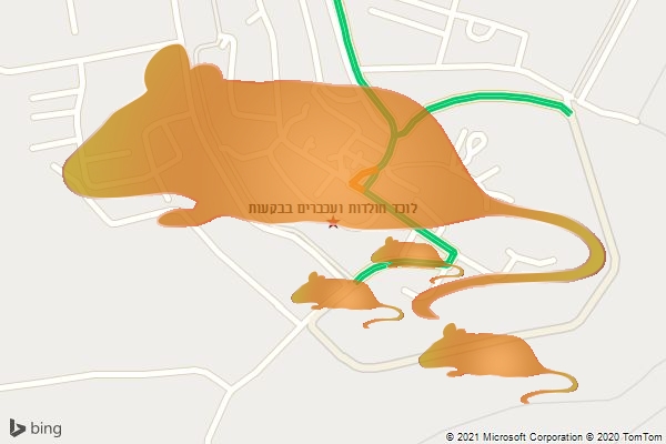 לוכד חולדות ועכברים בבקעות