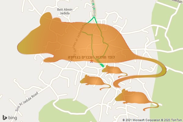 לוכד חולדות ועכברים בגדיידה