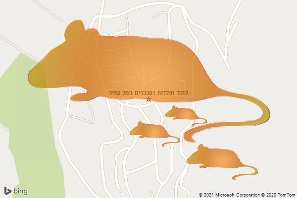 לוכד חולדות ועכברים בתל קציר