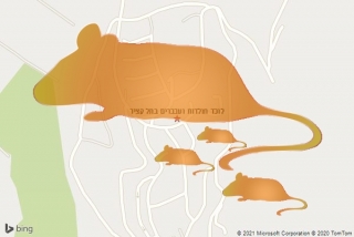 לוכד חולדה בתל קציר - לוכד חולדות ועכברים בתל קציר