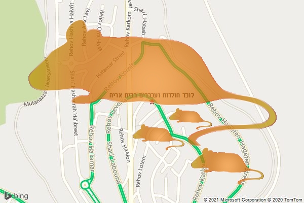 לוכד חולדות ועכברים בבית אריה