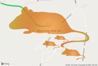 לוכד חולדה בנחלה - לוכד חולדות ועכברים בנחלה