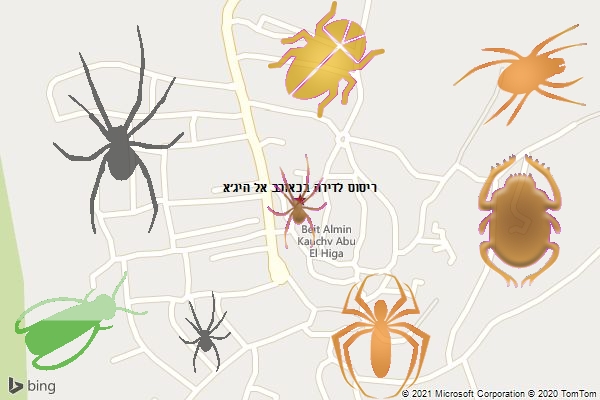 ריסוס לדירה בכאוכב אל היג׳א