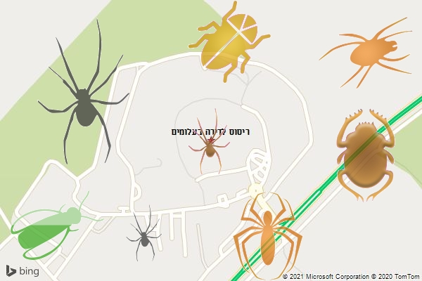 ריסוס לדירה בעלומים