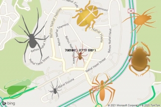 שירות ריסוס באשתאול - ריסוס לדירה באשתאול