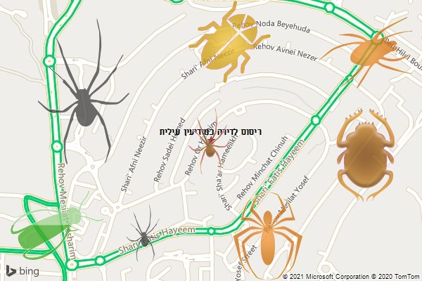 ריסוס לדירה במודיעין עילית