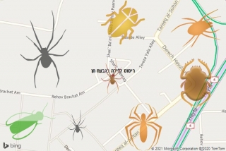 שירות ריסוס בגבעת חן - ריסוס לדירה בגבעת חן