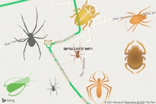 שירות ריסוס בעזריקם - ריסוס לדירה בעזריקם